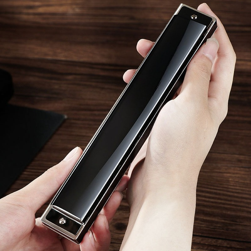 24- и 28-дырочная полифоническ – обзор и цена Harmonica 10 Hole