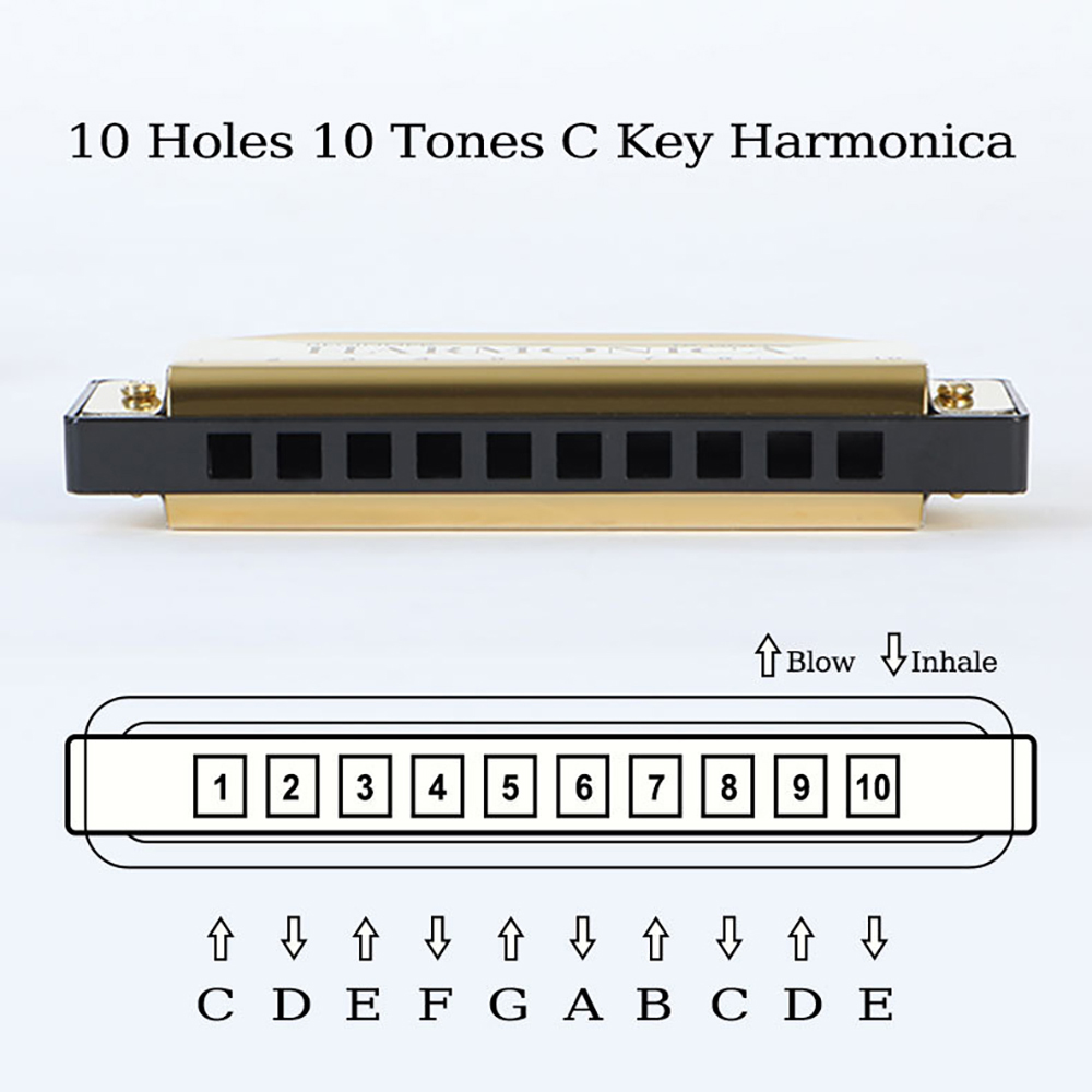 Губная гармошка с 10 отверстия – обзор и цена Harmonica 10 Hole
