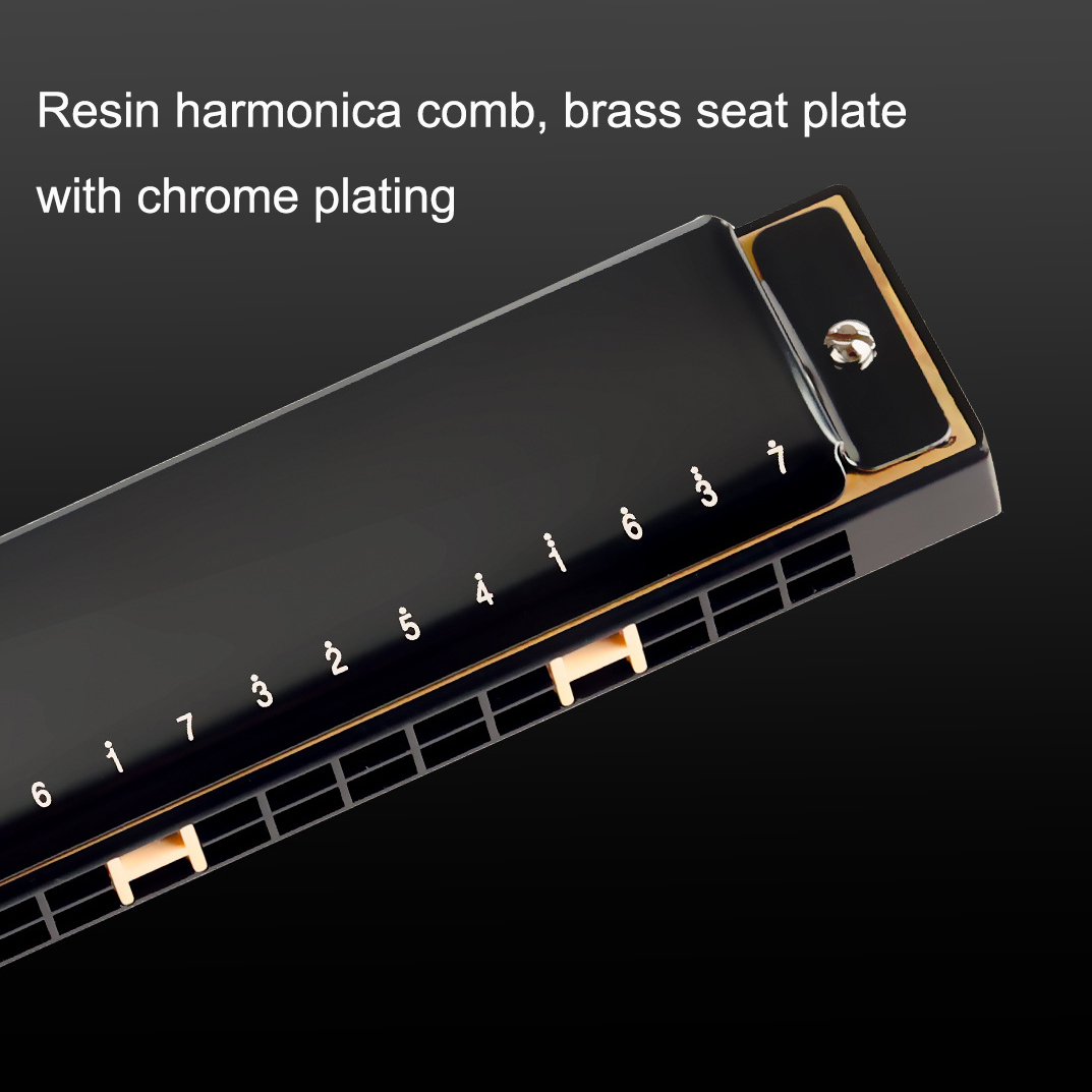 Губная гармошка Guoguang Tremo – обзор и цена Harmonica 10 Hole