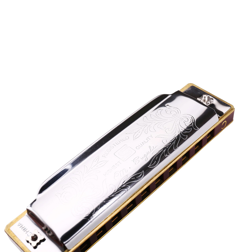 Гармоника Folk Master 1072, ст – обзор и цена Harmonica 10 Hole